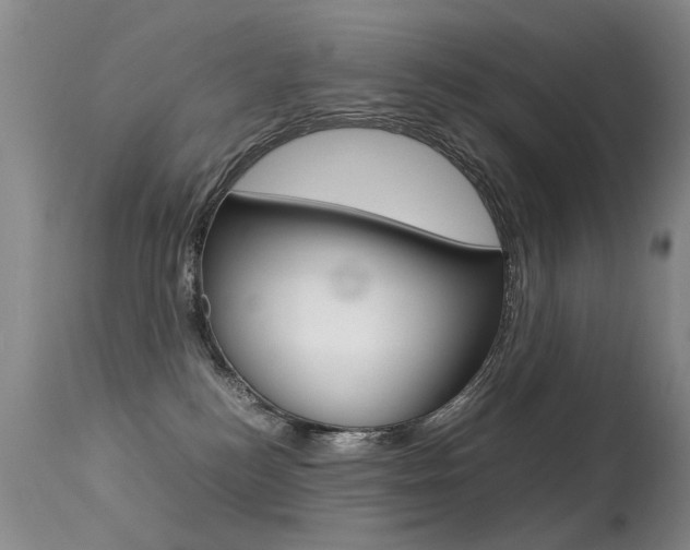 X0000113290184200909141013