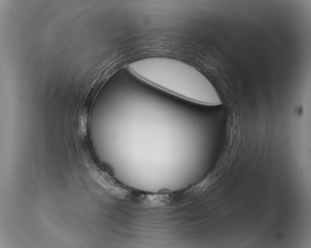 X0000113290188200909141013