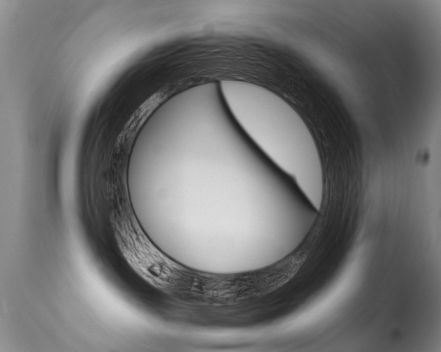 X0000113290191200909141013