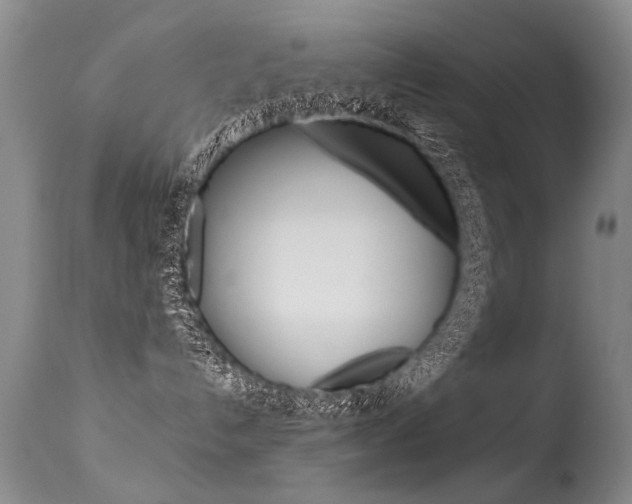 X0000113290192200909141013