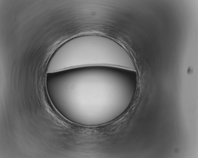X0000113290193200909141012