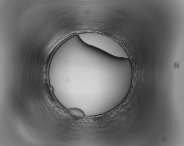 X0000113290194200909141012
