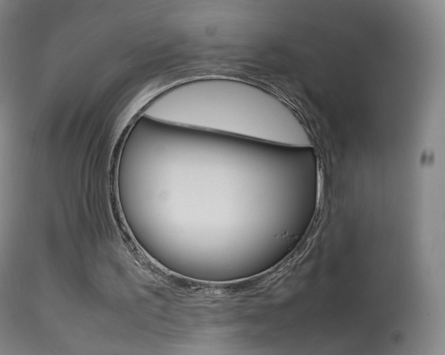 X0000113290195200909141012