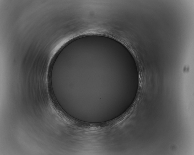 X0000113290196200909141012