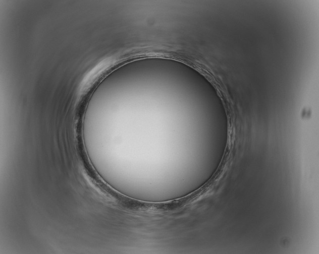 X0000113290197200909141012