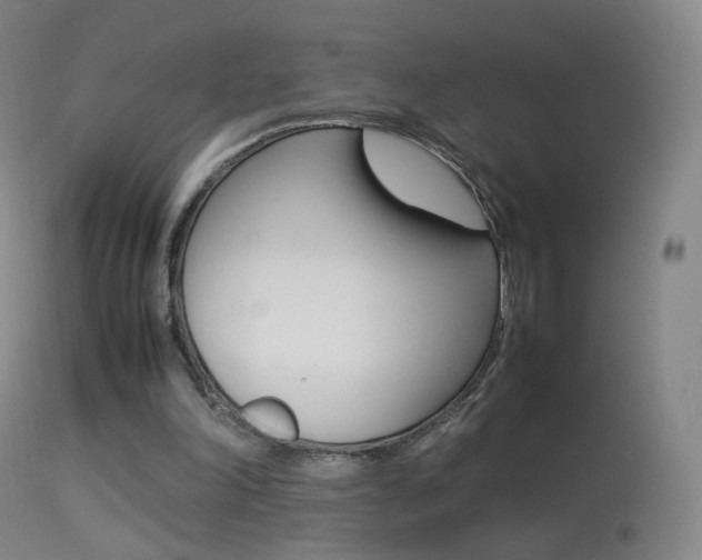 X0000113290198200909141012