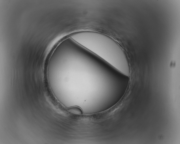 X0000113290200200909141012