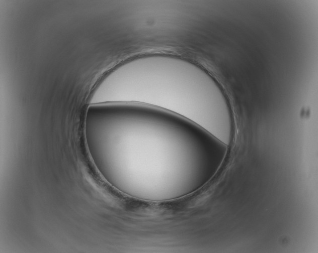 X0000113290201200909141012