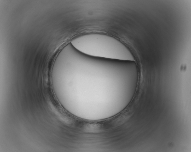 X0000113290202200909141012