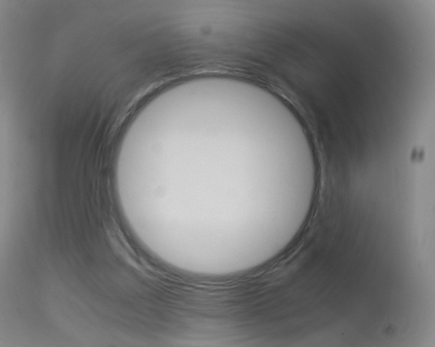 X0000113290203200909141012