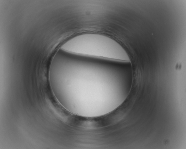 X0000113290212200909141012