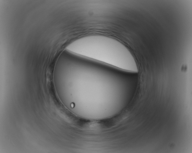 X0000113290219200909141012