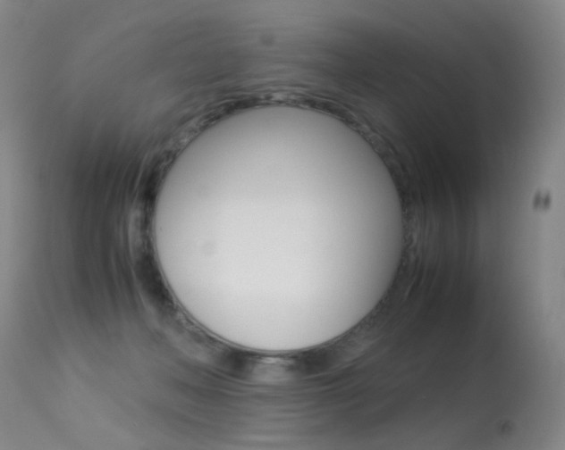 X0000113290222200909141012