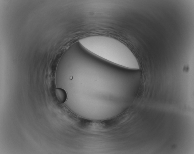 X0000113290223200909141012