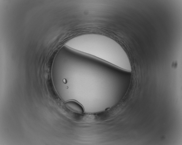 X0000113290227200909141012