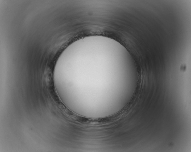 X0000113290228200909141012