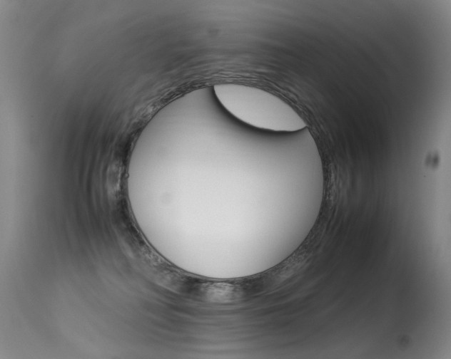X0000113290230200909141012