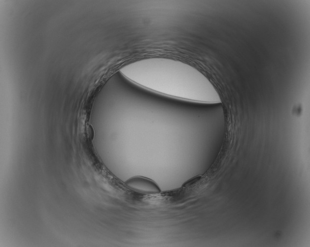 X0000113290231200909141012