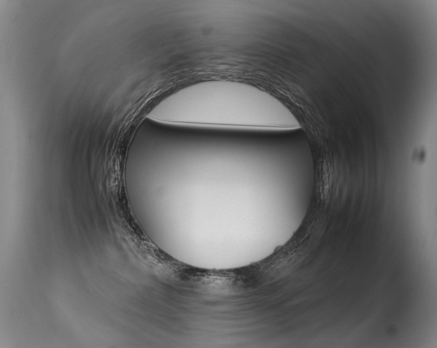 X0000113290236200909141012