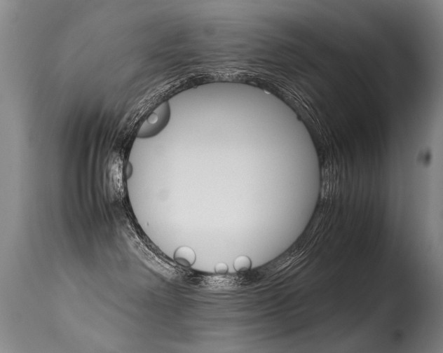 X0000113290238200909141012