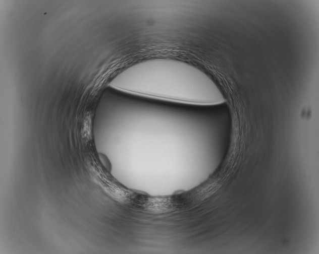 X0000113290240200909141012