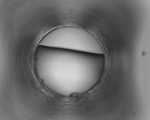 X0000113290241200909141011