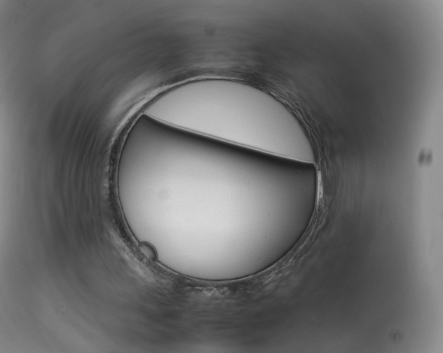 X0000113290243200909141011