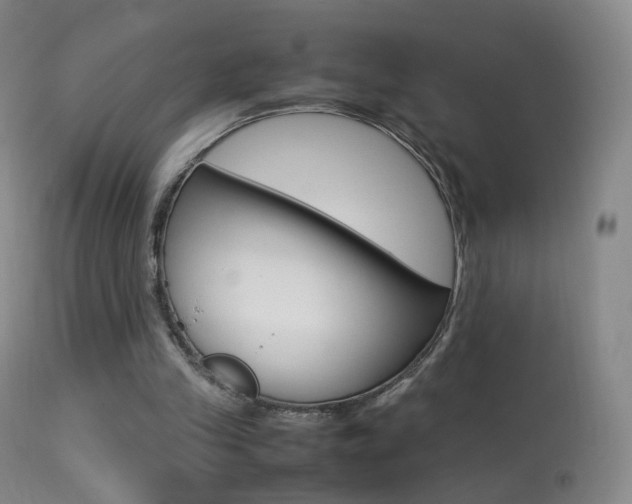 X0000113290245200909141011