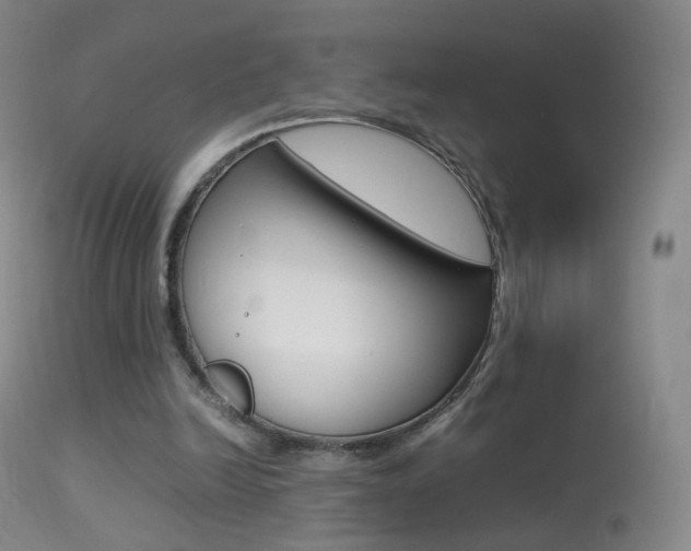 X0000113290246200909141011