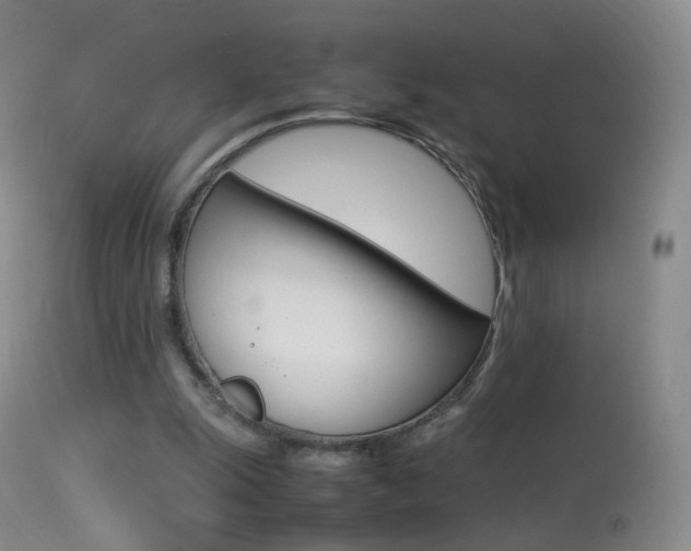 X0000113290247200909141011
