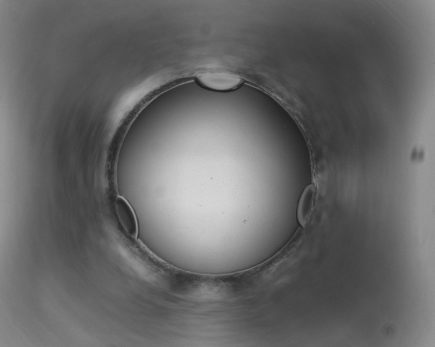 X0000113290248200909141011