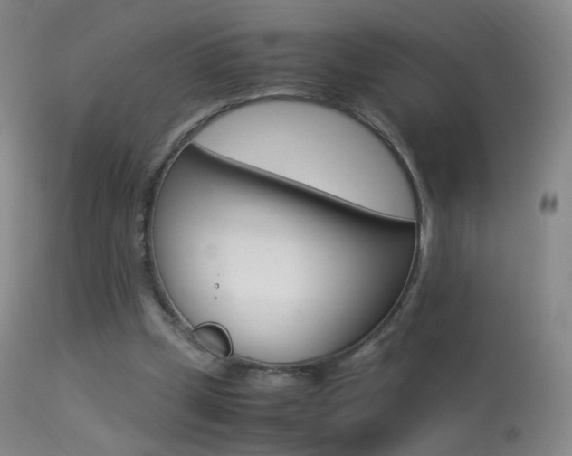 X0000113290249200909141011