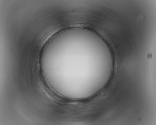 X0000113290251200909141011