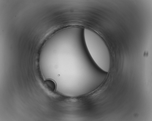 X0000113290253200909141011