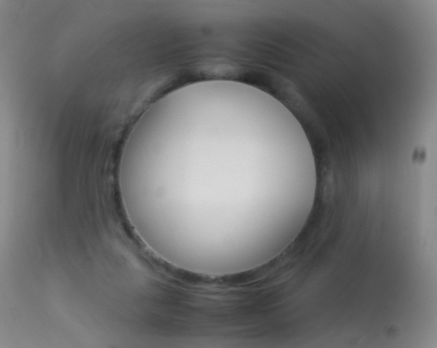 X0000113290259200909141011