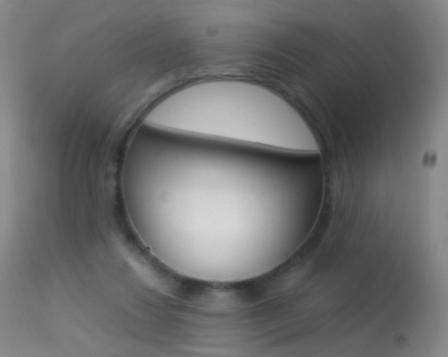 X0000113290260200909141011