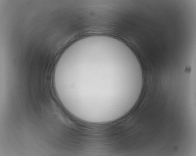 X0000113290264200909141011