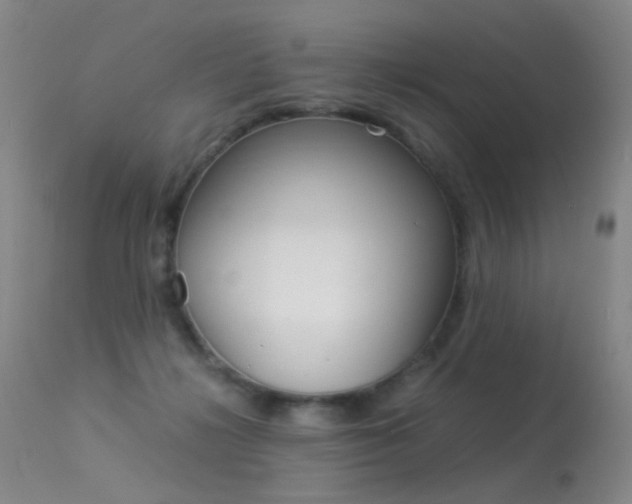 X0000113290268200909141012