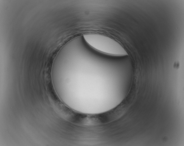 X0000113290270200909141012