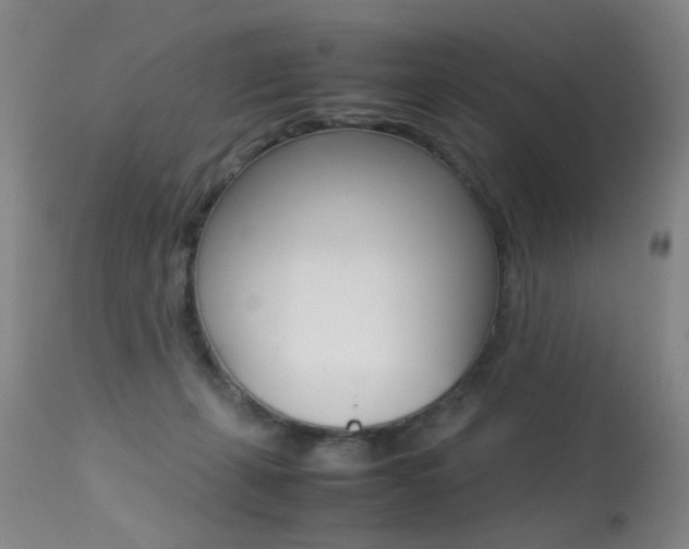 X0000113290271200909141012