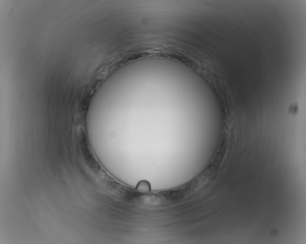X0000113290272200909141012
