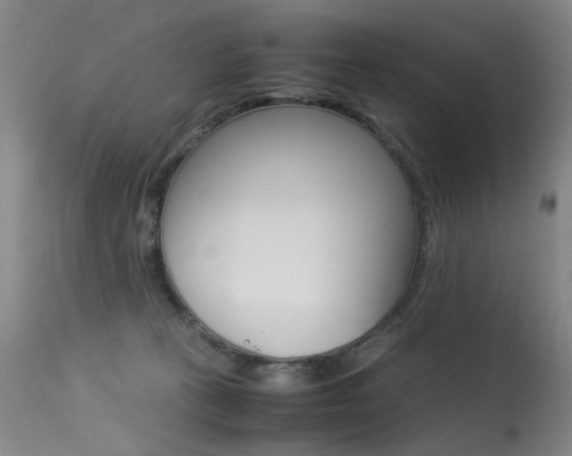 X0000113290273200909141012