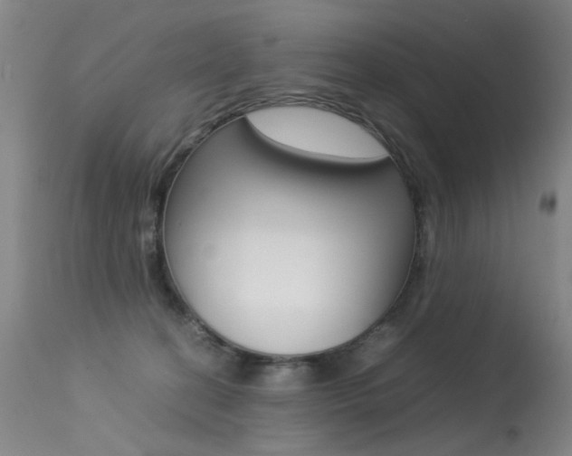 X0000113290274200909141012