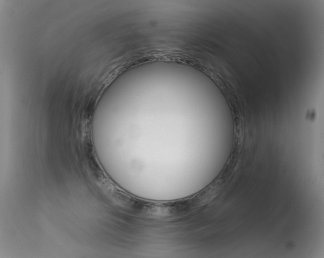X0000113290276200909141012