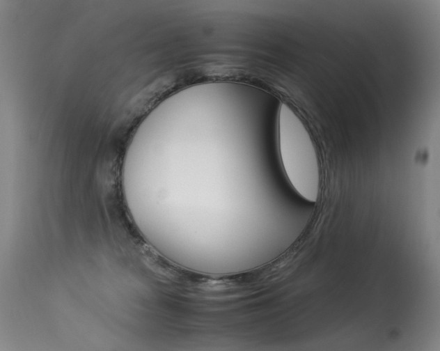 X0000113290277200909141012