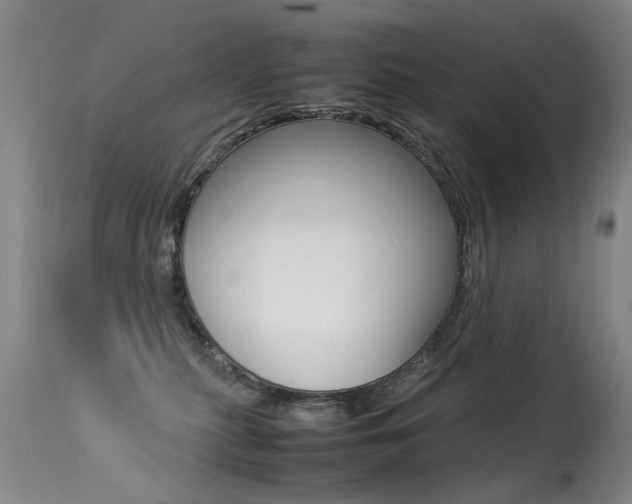 X0000113290279200909141012