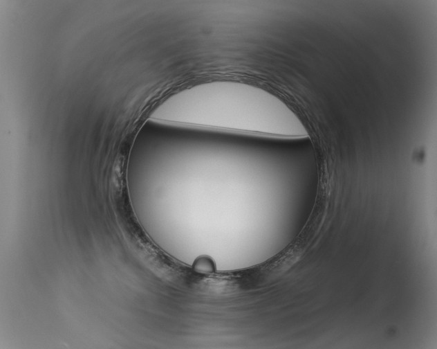 X0000113290280200909141012