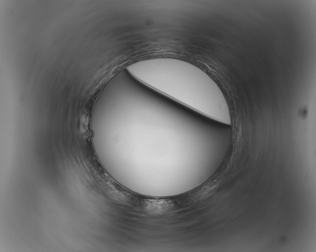 X0000113290281200909141012