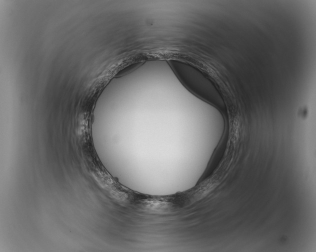 X0000113290284200909141012