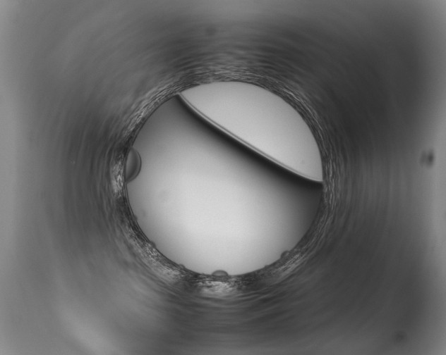 X0000113290285200909141012